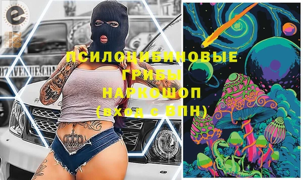 мет Арсеньев